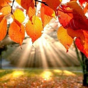 Meet your Posher, Cecy